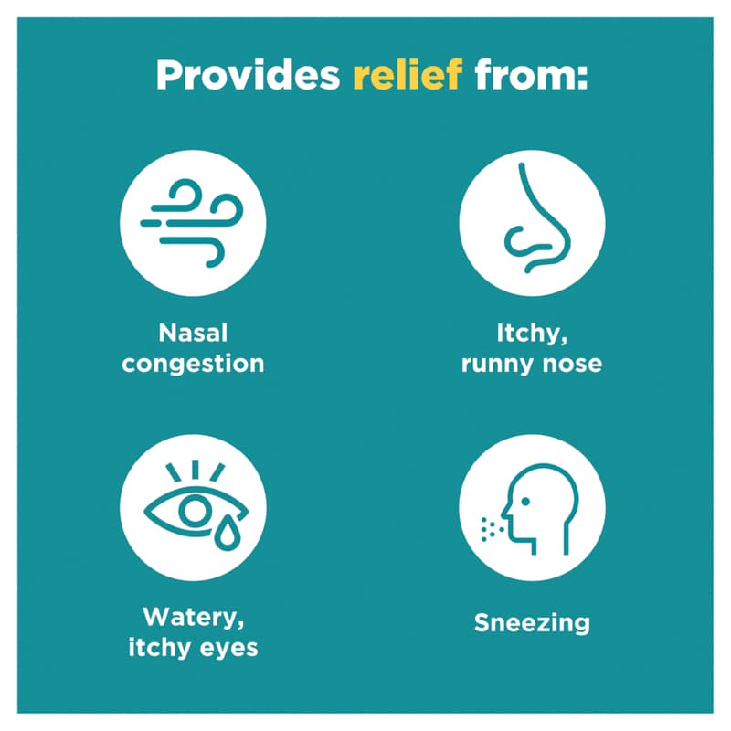 Nasonex Allergy Spray 65 Dose - 9310160824837