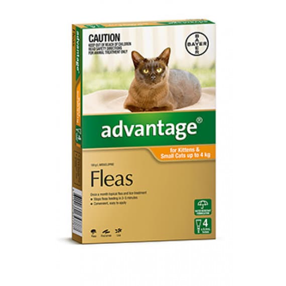 Advantage Cat 0-4kg 4 Pack