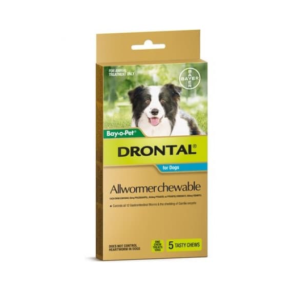 Drontal Dog Allwormer Chewable Medium 10kg 5 Pack